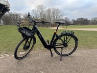 EcoRide Ambassador 4