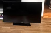 Tv Procaster 43 tum