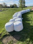 Ensilagebalar