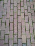 Marksten gratis
