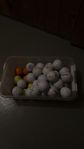 golfbollar