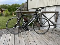 Bianchi Nirone