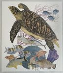 Tavla Guy Harvey