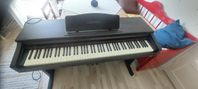 Elpiano Casio Celviano AP 20 