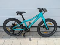Scott Roxter 20"
