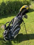 Golfset med bag