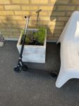 kickbike 