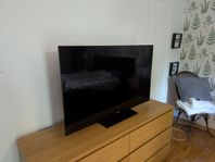 Tv 42 tum