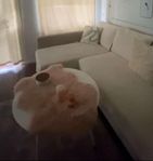 Bäddsoffa