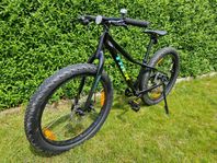 Trek roscoe 24