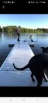 Easyfloat Flytbrygga