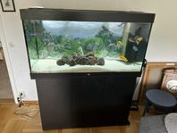 ett akvarium juwel med tillbehör 