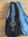 Akustisk Gitarr 