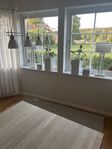 köks lampa och fönster lampa 