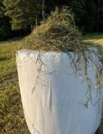 Hösilage och torrhö