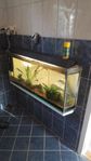 väggakvarium 150 liter