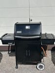 Weber 310 Spirit