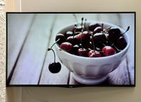 LG Oled Tv 55”, döda pixlar