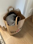 Stor påse herrkläder – Stl M/L – Allt för 250 kr!