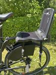Bobike barnsits