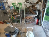 Akvarie ställning med tillbehör 