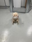 Gungdjur från Bobobaby