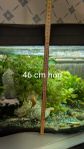 Akvarium 