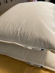 IKEA GULKAVLE Kudde – Hög, 50x60 cm (2-pack)