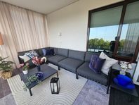 Trädgårsdmöbler Horizon Loungest