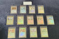 Pokemon Sandstorm Holos