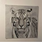 leopard glass tavla