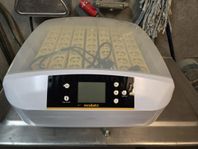 inkubator äggkläckningsmaskin