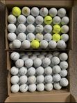 Prov1/Prov1x