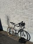 Eddy Mercx racer