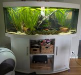 Juwel vision 450