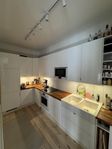 Luckor / fronter IKEA Faktum