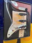 Fender Stratocaster Tex-Mex mickar & plektrumskydd