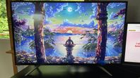 Philips 43" 4K UHD IPS Gamingskärm