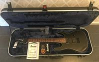 Ibanez RG421EX-BKF + Ibanez M300C hardcase 