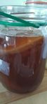 kombucha Scoby