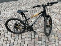 Crescent barncykel 24”