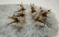 Adams #10. 6pack – torrfluga för öring & harr