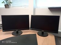 Philips 21,5" datorskärmar