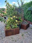 Cortenlådor / Blomlådor
