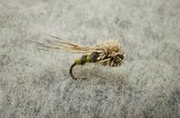 Streaking Caddis #16 – 6pack – torrfluga