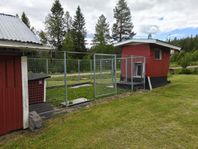 Hundhage med 2 st kojor.
