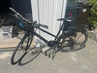 Apollo team 28”