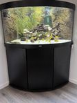 Juwel Akvarium 350L