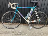 Racer  Giant  Vintage Herr
