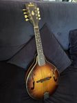 Sigma M-4 Mandolin '70talet